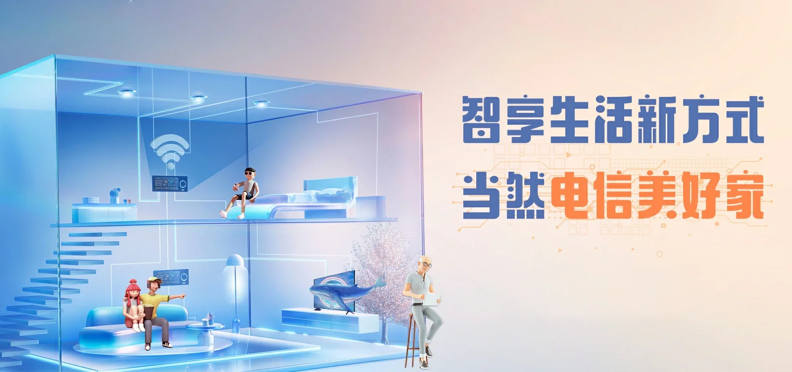 中国电信 大成电信宽带 宽带套餐